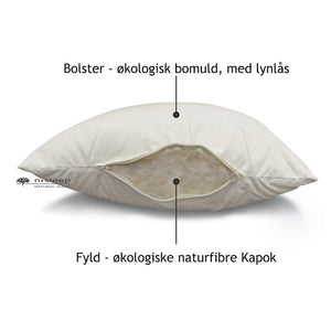 Kapok voksen pude, bomuld betræk - 60 x 63 cm